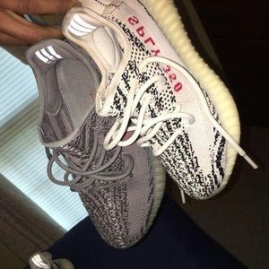 Adidas yeezy zebra size 7